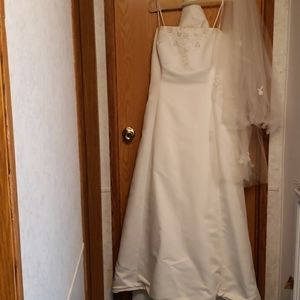 Beautiful Wedding Dress with Vail